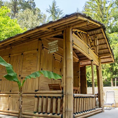 Suite Bambou Bien-Etre A Bali - Le Soleil Des Cevennes サン・ジャン・デュ・ガル エクステリア 写真